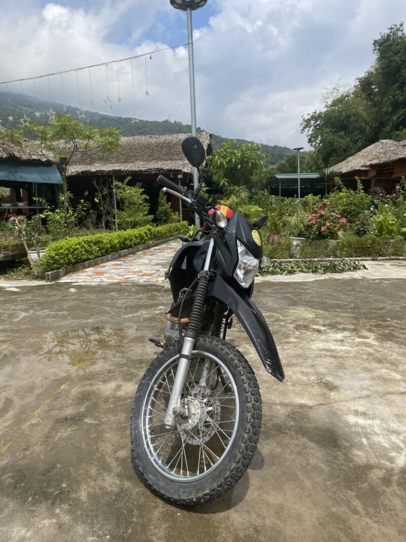 Xe cao cao XR 150cc giá 500k/1 ngày